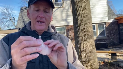 How to properly fillet a fish with respect and gratitude. #fishfry #fishing #natureprovides
