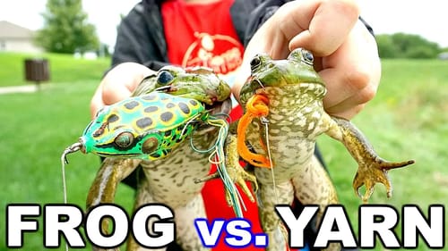 Bull Frogs Love YARN?! Frog vs. Yarn Fishing Challenge!!