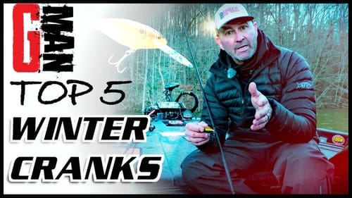 Swindle's Top 5 Winter Bass Fishing Crankbaits