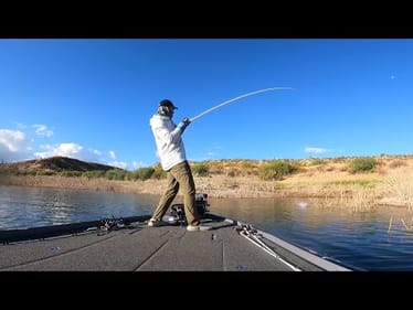 Quick Trip To Roosevelt Lake