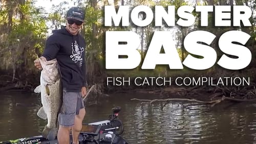 MONSTER BASS FISHING (Fishing Compilation #1)