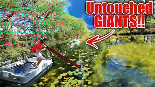 We Found the ULTIMATE Hidden Gem w/ GIANT Fish!! (Mini Boat Fishing)