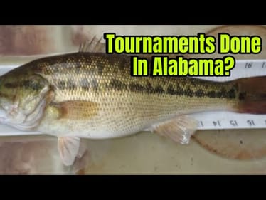 Proposed Alabama Law Poised To End Bass Tournaments In The State…