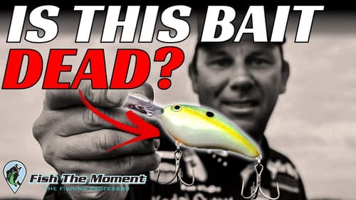 Has Livescope Made the Deep Diving Crankbait Obsolete?! | Summer Bass Fishing