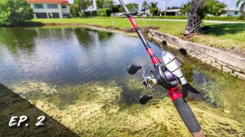 This $15 Dollar Swimbait is LEGIT! (Multi-Species Challenge) | Swimbait Showdown: Season 1, ep 2