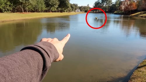#1 POND FISHING Tip For This WINTER (Bass Fishing Tips)