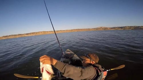 Fall Bass Fishing with Reaction Baits