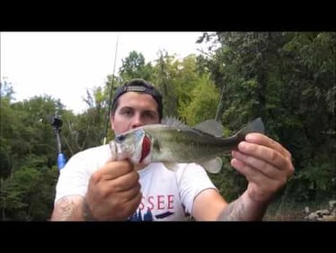 Kayak Bass Fishing Flooded Reservoir!!  ||Green Pumpkin Dinger||