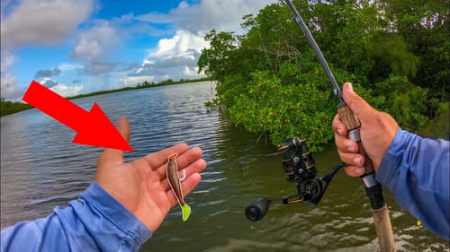 This Lure Catches EVERYTHING + a NEW PB