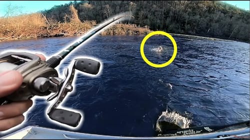 Hunting GIANT Fish in Clear Rivers!!