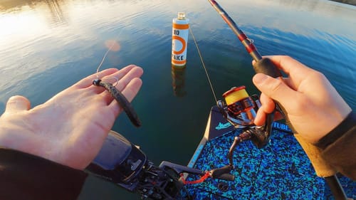 Winter Bass Fishing Baits That ALWAYS Catch Fish