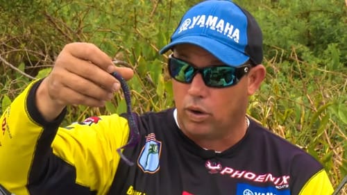 The Texas Rig is NOT DEAD! Bass Worm Fishing SECRETS