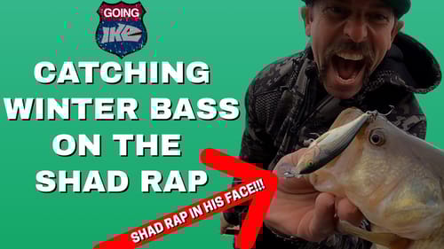Catching Winter Bass on the SHAD RAP!!