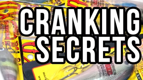 Best DEEP Crankbait Knowledge: Fishing for Bass