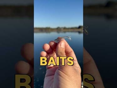 Can we catch a crappie on Zmans NEW Micro Graph Shad!? #fishing #fishingvideos