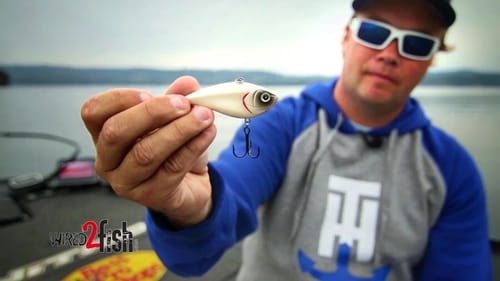 When to Use Silent Lipless Crankbaits