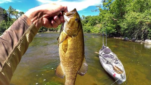 Fishing Nikko Minnows And Petting A Smallie