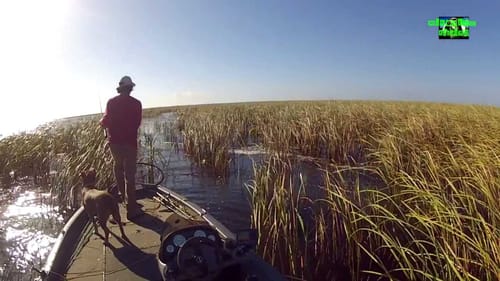Boat Flipping a Thick Eight Pound Bass