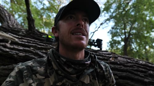 Stalking Bottomland Hogs with Bow  | Close Encounter!