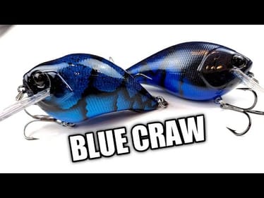 Painting a Black and Blue Craw Squarebill (Spring Fishing Lures)