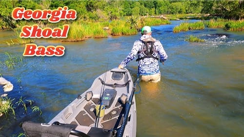 Georgia's Finest...The Shoal Bass Experience