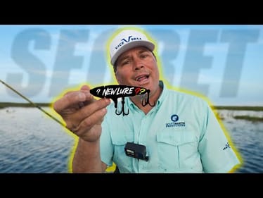 Why Didn't I Think of THIS?? (NEW LURE)