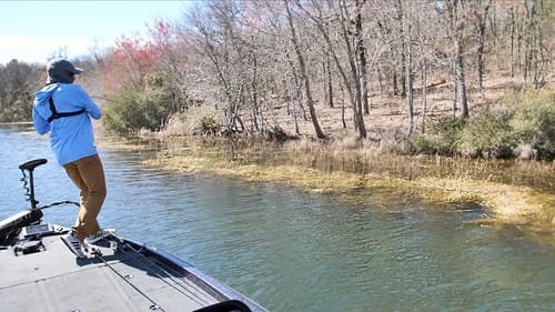 It's Happening! Sight Fishing Spring Largemouth Bass
