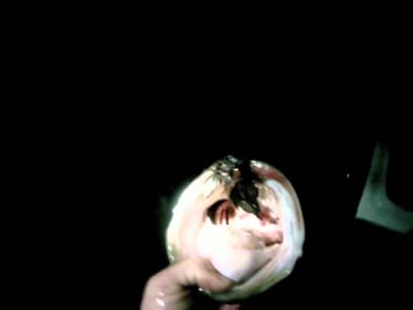 Jig Fishing at Night