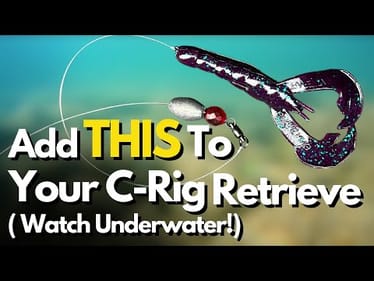 Have You Tried THIS Carolina Rig RETRIEVE? (Watch Underwater)