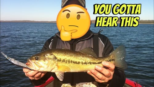 The Smartest Bass Angler In America Just Said Something You Guys Won’t Believe…