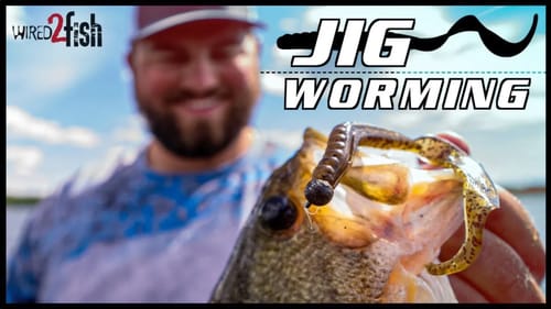 How to Jig Worm Summer Bass on Grass Edges