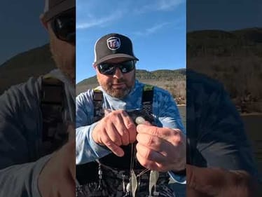 This RIGGING Tip Is CRITICAL To Catching Fish! #shorts