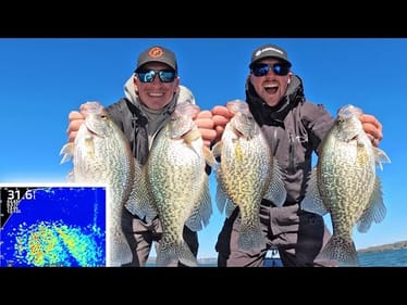 INSANE!! 20,000 CRAPPIE On LIVESCOPE! Fishing For BIG SLABS!!