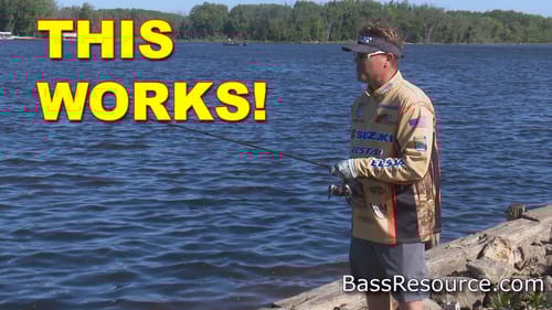 Drop Shot from the Bank | How to | Bass Fishing