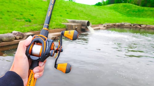 This TROPHY Pond is LOADED w/ GIANT Bass (Bank Fishing)