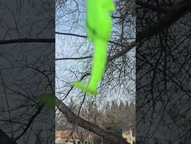 How weedless is weedless?