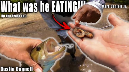 Catching GIANT CREEK BASS w/ MDJ - Up The Creek Series Ep.1