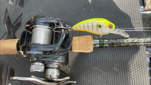 Start Throwing A Chartreuse-Back Crankbait Under THESE Conditions
