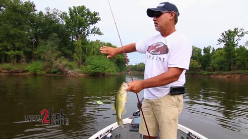Retrieve Tactics & Proper Rod & Line for Lipless Crankbaits