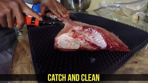 Filleting and Gill and Gut Crappie  Catch and Cook