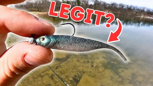 Is This NEW Bass Fishing Technique LEGIT? Hover Strolling
