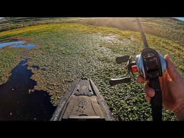 Can we catch bass here in January?