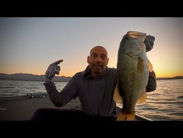Sunset Bass Bonanza on Arizona’s BEST LAKE!