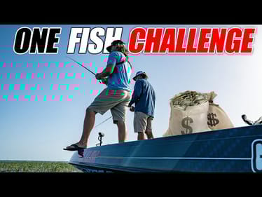 Taking the ONE Fish Challenge for $$$