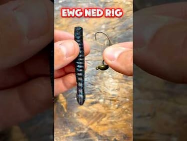 Weedless Ned Rig