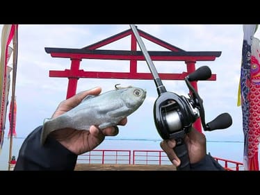 This JAPANESE Lake Is FULL Of GIANT Fish! (My Best Day Yet!)