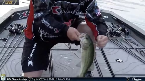 Early Topwater action at Tenkiller Lake