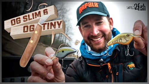 Shallow Crankbait Selection | Rapala OG Slim vs. Tiny