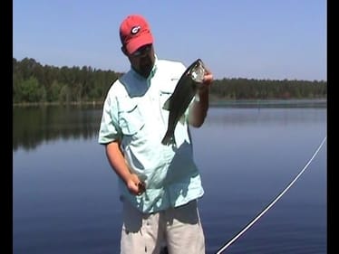 Bass Fishing - Advanced Dropshot Rig (Heavy Drop Shot)