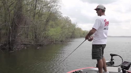 Fishing Swimbaits around Shallow Wood